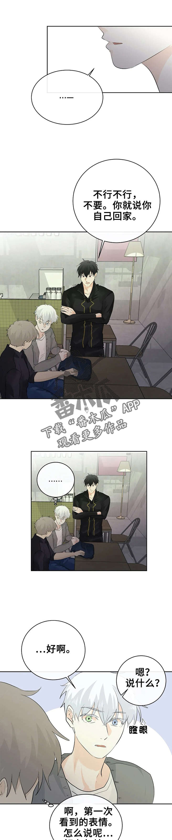 贴身保镖第一季完整版漫画,第13章：又被无视1图
