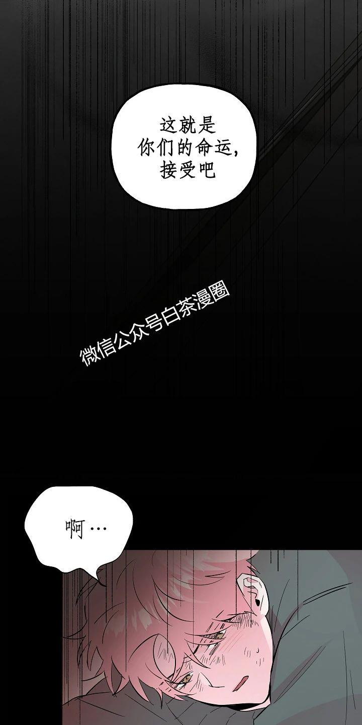 疯子套装组合漫画免费阅读漫画,第52话5图
