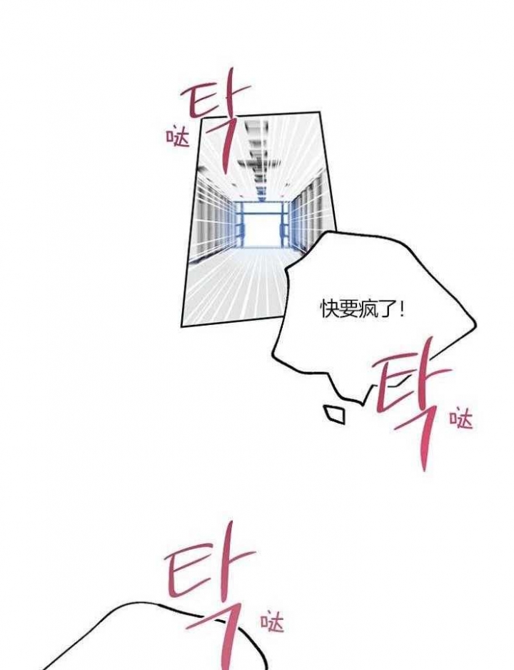 幸运天使是干嘛的漫画,第52话1图