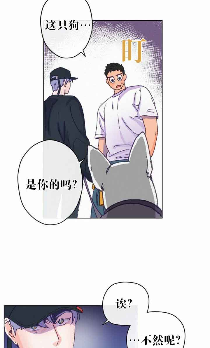 恋与拖拉机少年非麻瓜漫画漫画,第6话4图