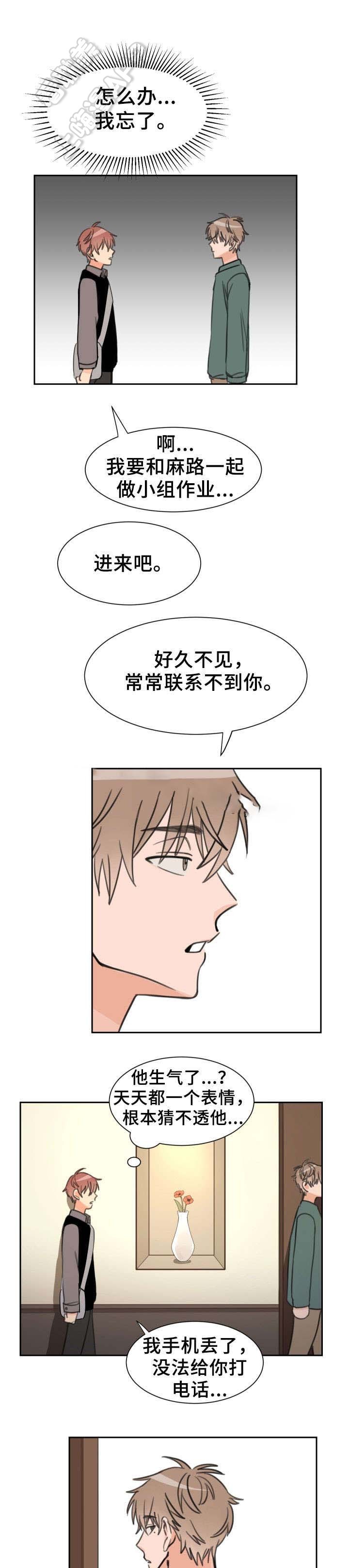 白月光他爱上替身了小说裴夙月漫画,第21话5图