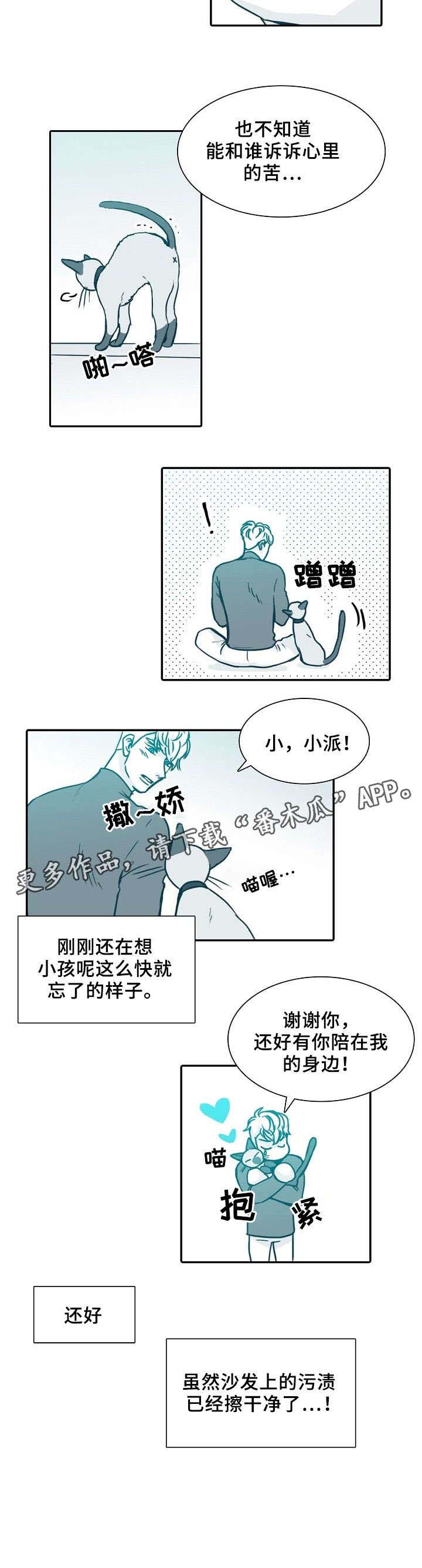 七险三金个人每月承担多少钱漫画,第63章：抱歉5图