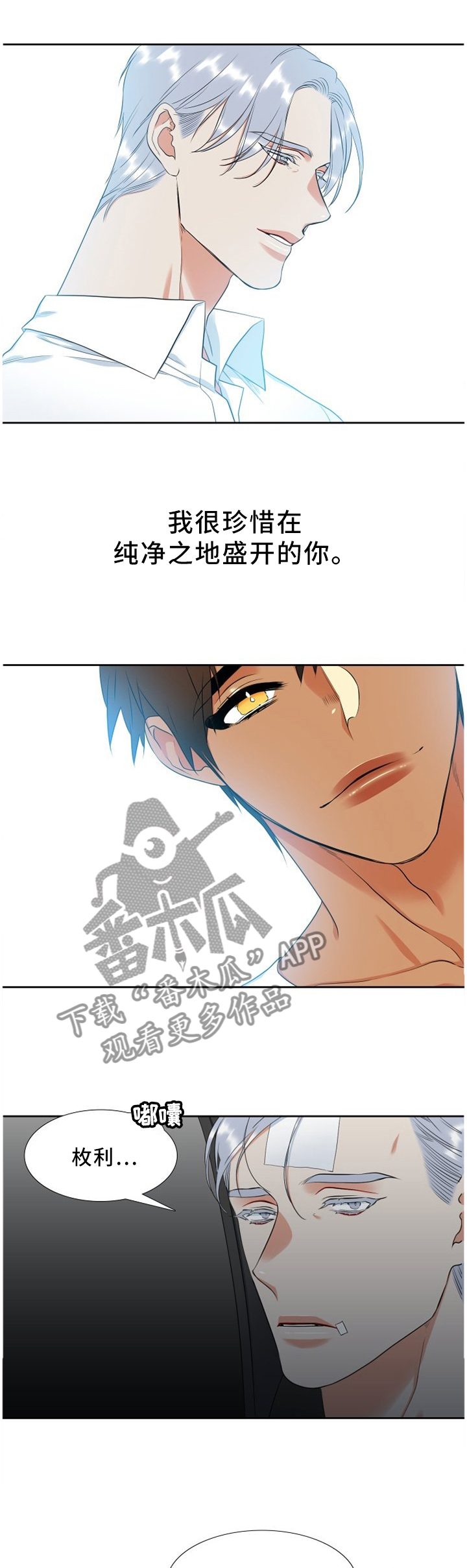 候鸟旅居网官网漫画,第166章：人生教训1图