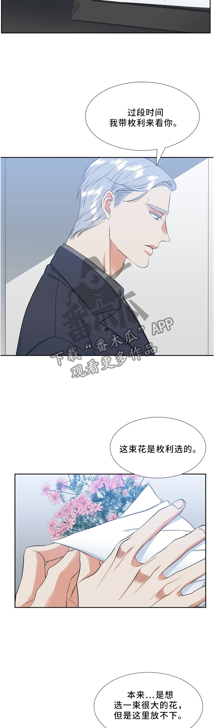 候鸟旅居网官网漫画,第119章：行动2图