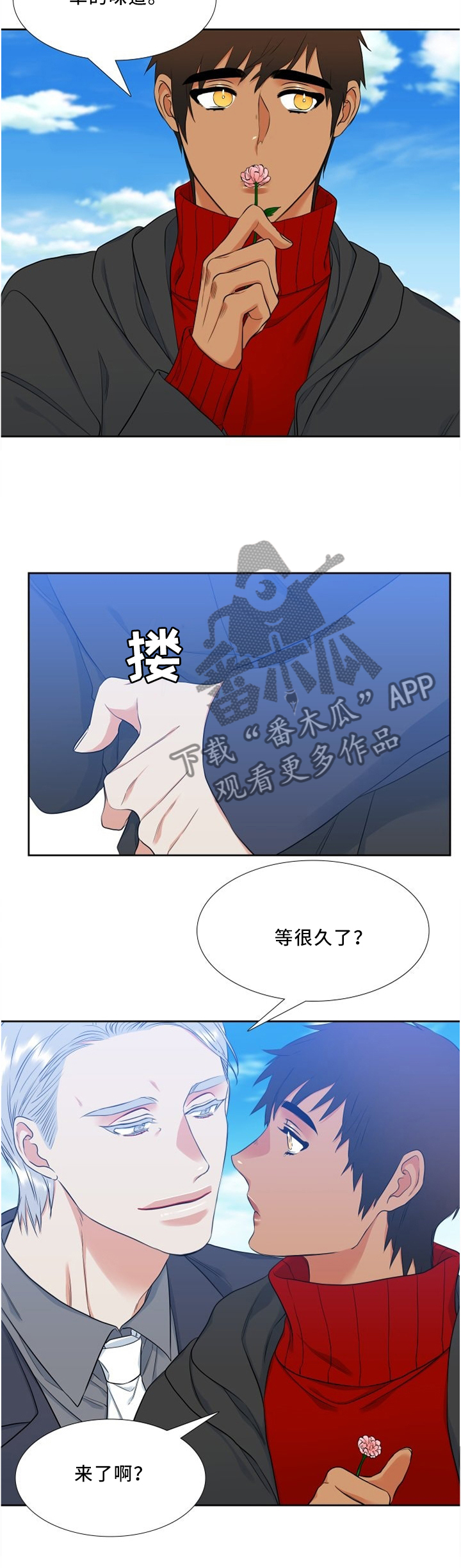 候鸟旅居网官网漫画,第119章：行动4图