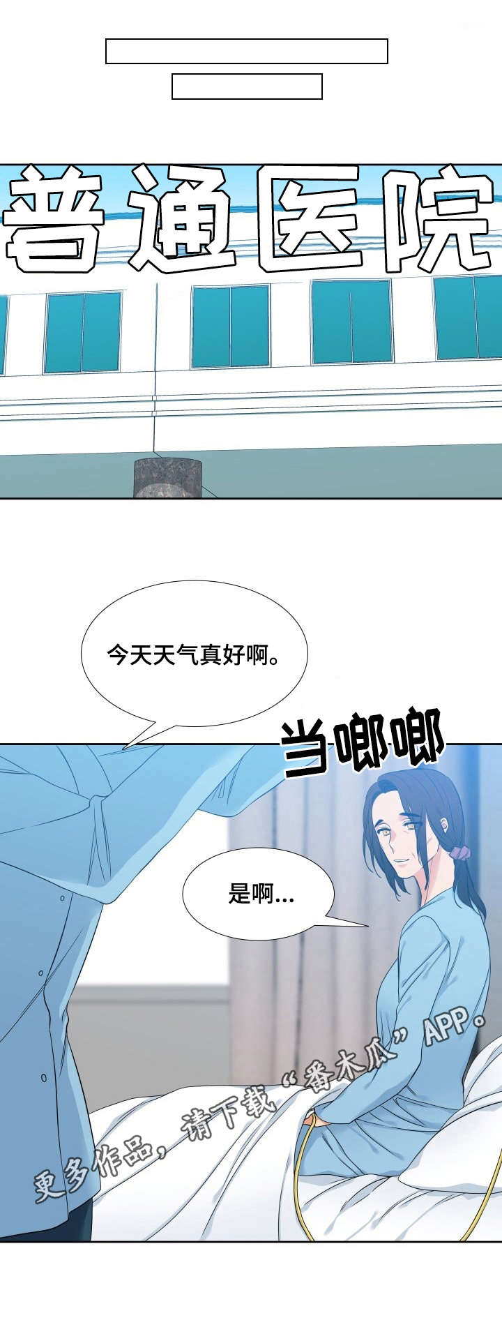 候鸟旅居网官网漫画,第51章：正装5图