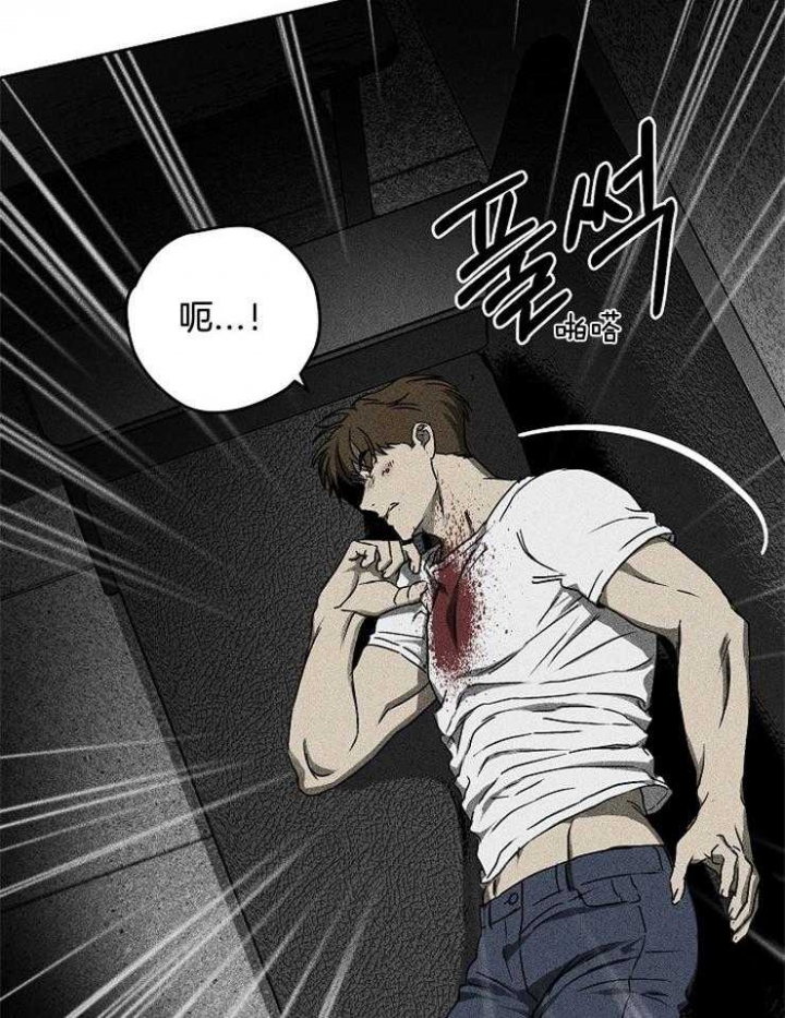 毒蛇漫画,第6话4图