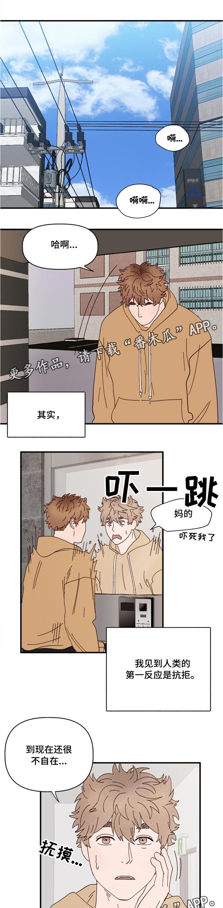 爱宠大机密图片漫画,第18章：回忆1图