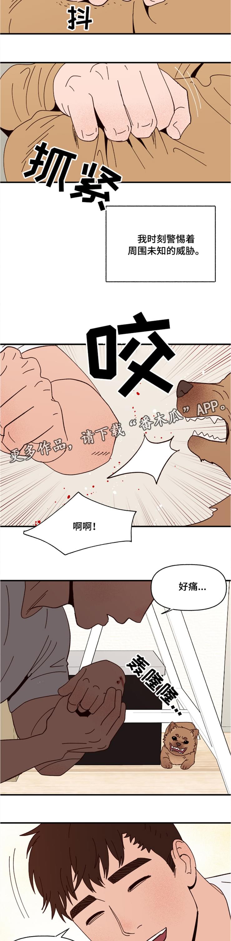 爱宠大机密图片漫画,第18章：回忆4图