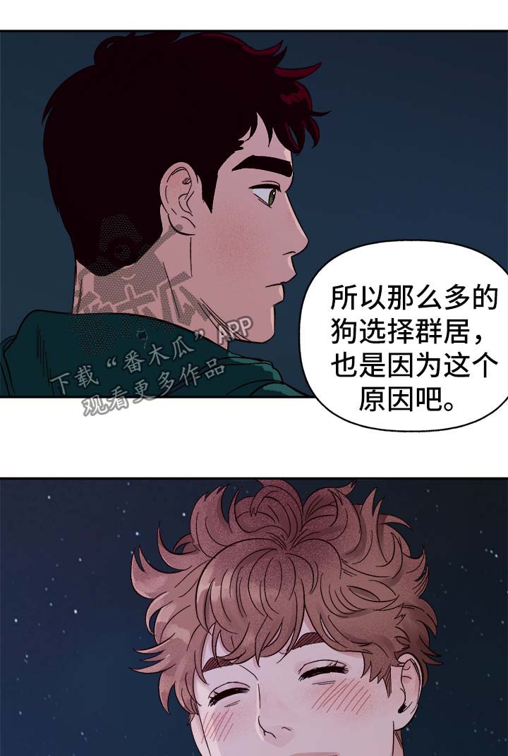 爱宠大机密1完整免费漫画,第36章：和我在一起5图