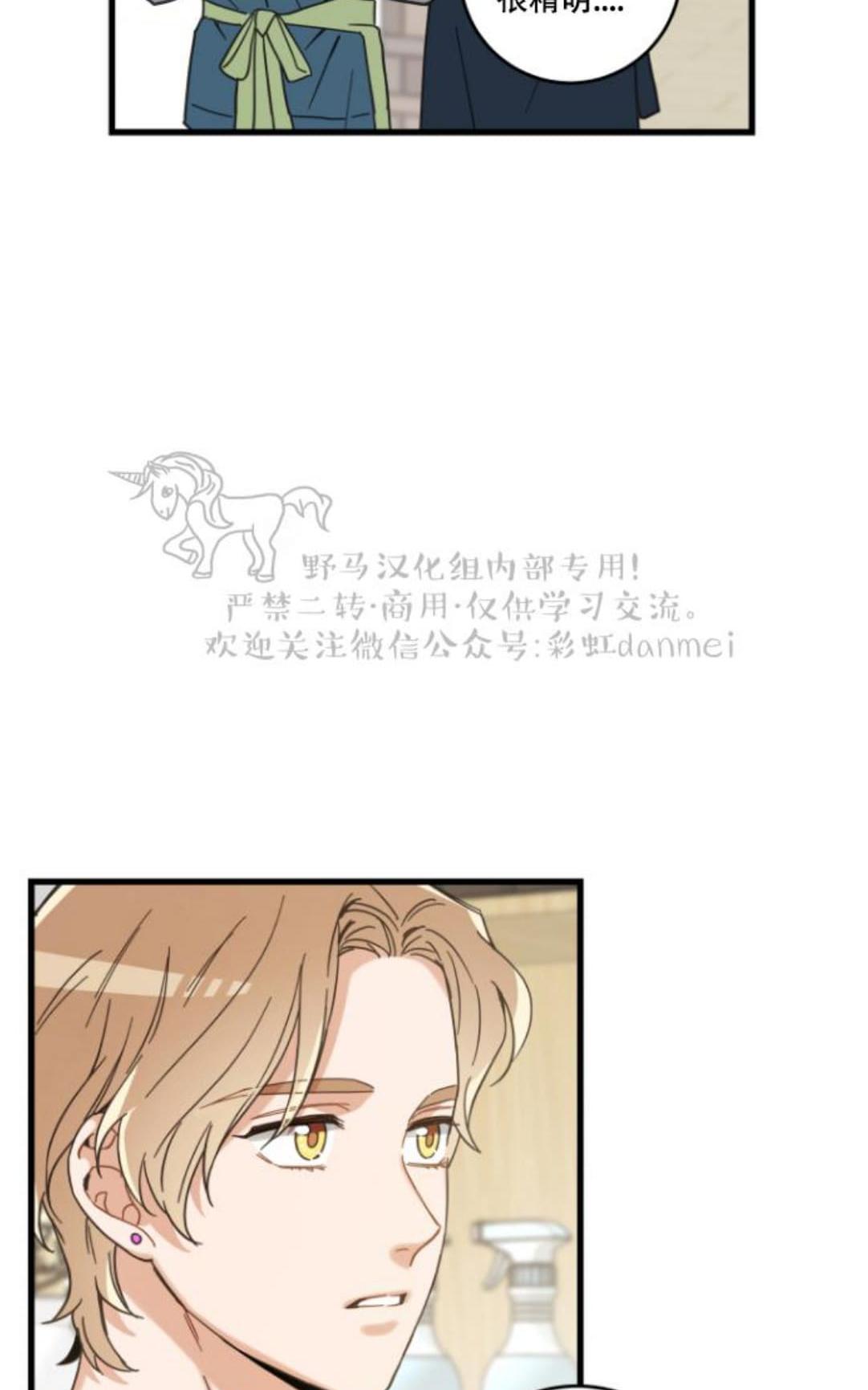 我的专属喵喵/我的专属猫咪漫画,第17话2图