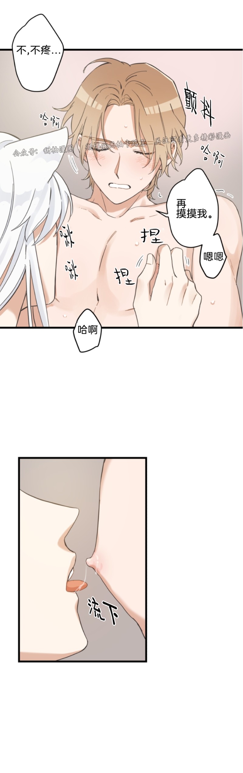 我的专属喵喵/我的专属猫咪漫画,第46话5图