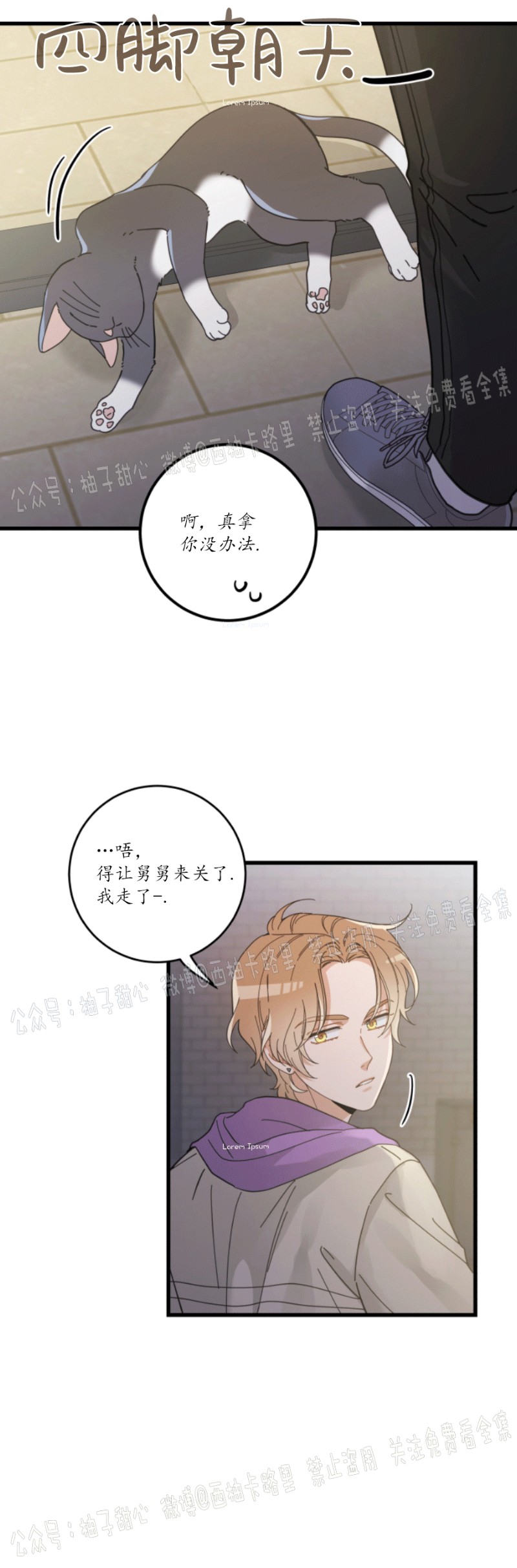 我的专属喵喵/我的专属猫咪漫画,第35话3图