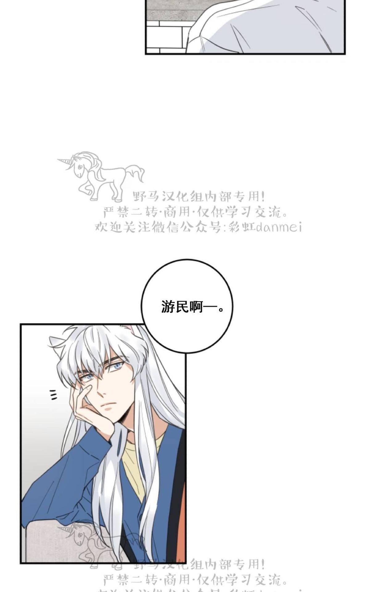 我的专属喵喵/我的专属猫咪漫画,第11话3图