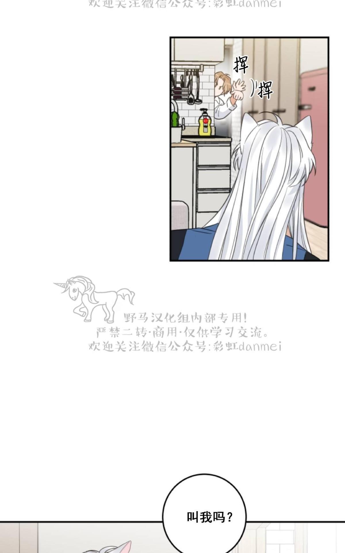 我的专属喵喵/我的专属猫咪漫画,第11话4图