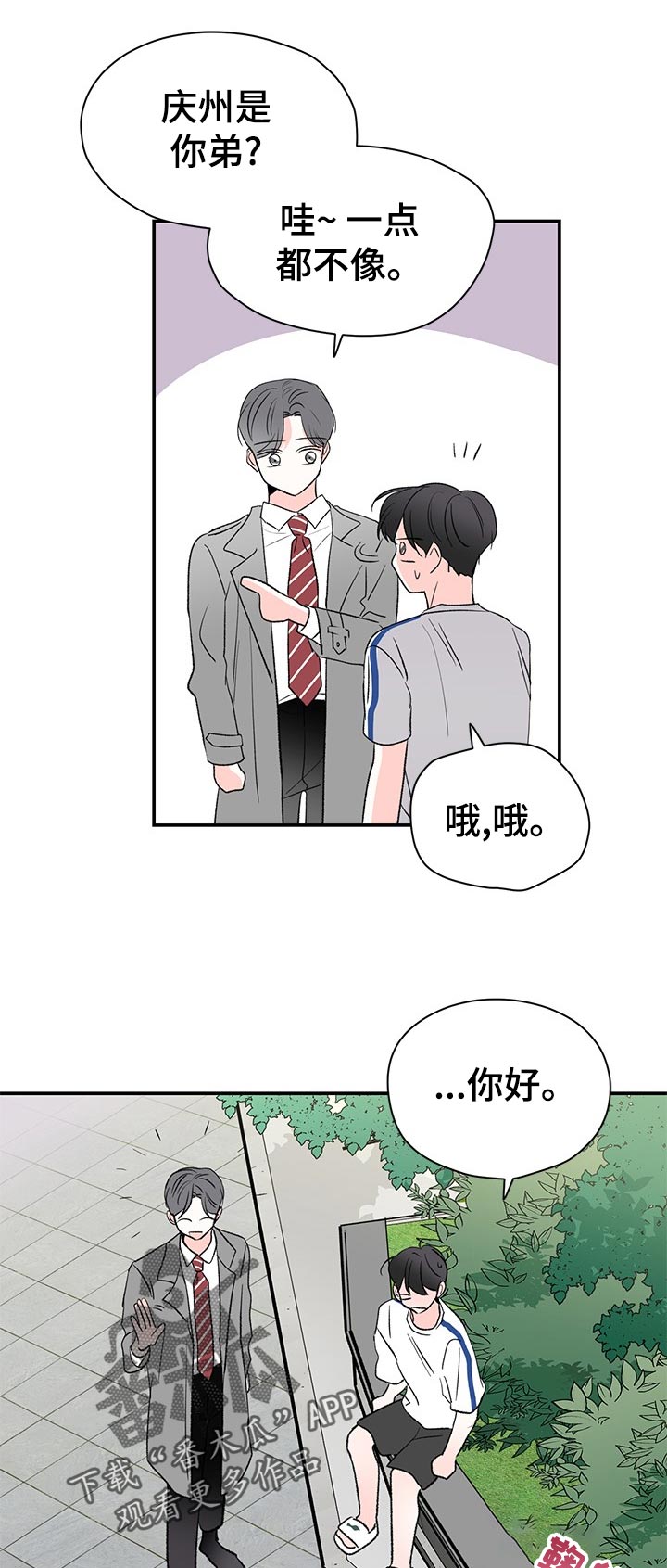 暗恋期漫画,第62章：道什么歉1图