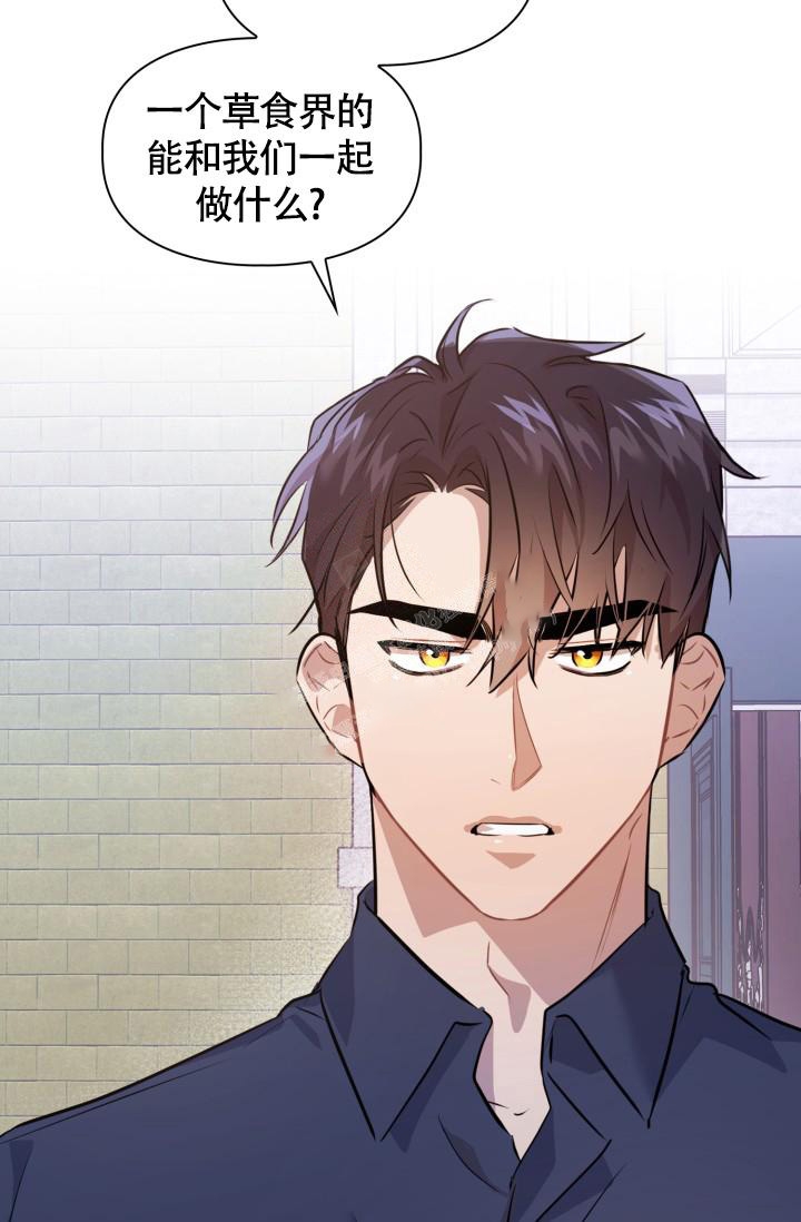 诱饵手雷漫画,第9话2图