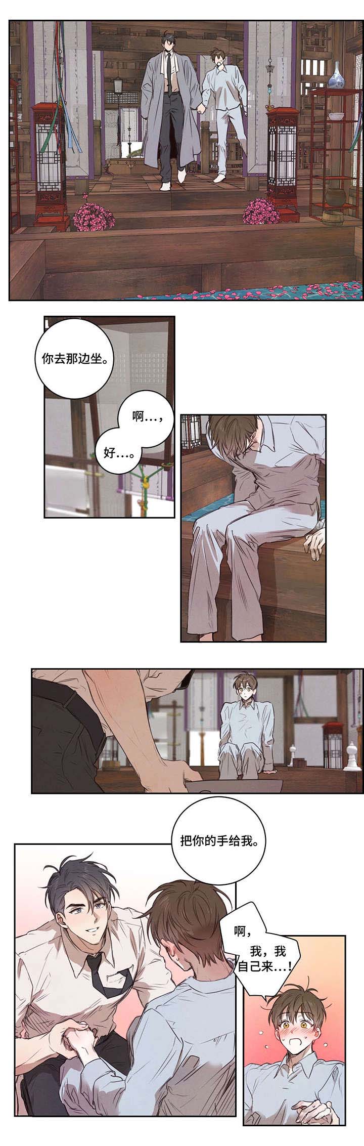 大树下的浪漫漫画,第10章：温柔4图