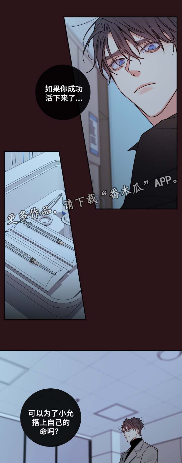 半血马养护知识漫画,第55章：赌一把4图