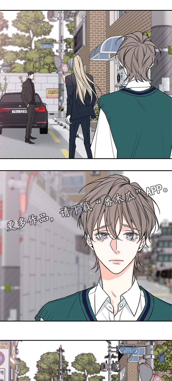 半血水晶可以无兵线偷掉吗漫画,第73章：尘埃落定2图