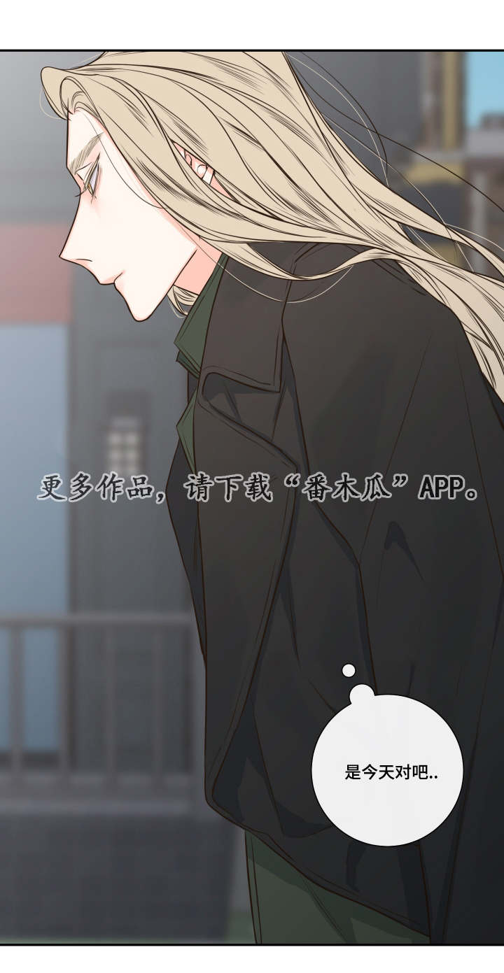 半血马怎么训练最好漫画,第27章：复苏的吸血鬼之血5图