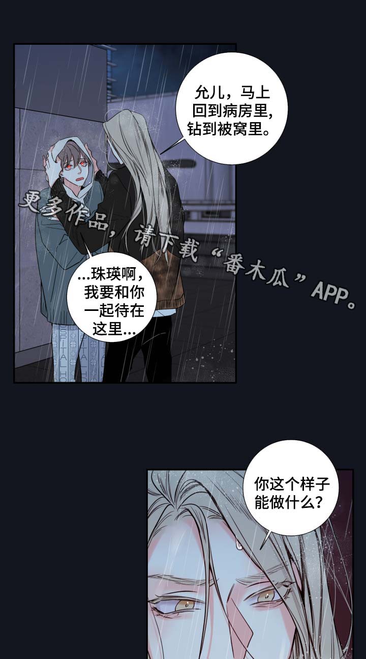 半血马怎么训练最好漫画,第50章：我来成为诺斯1图