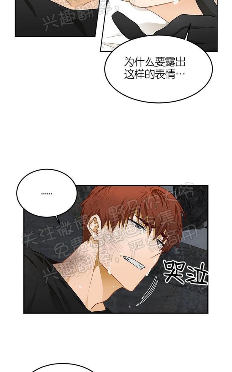 完美谎言番外漫画,第5话4图