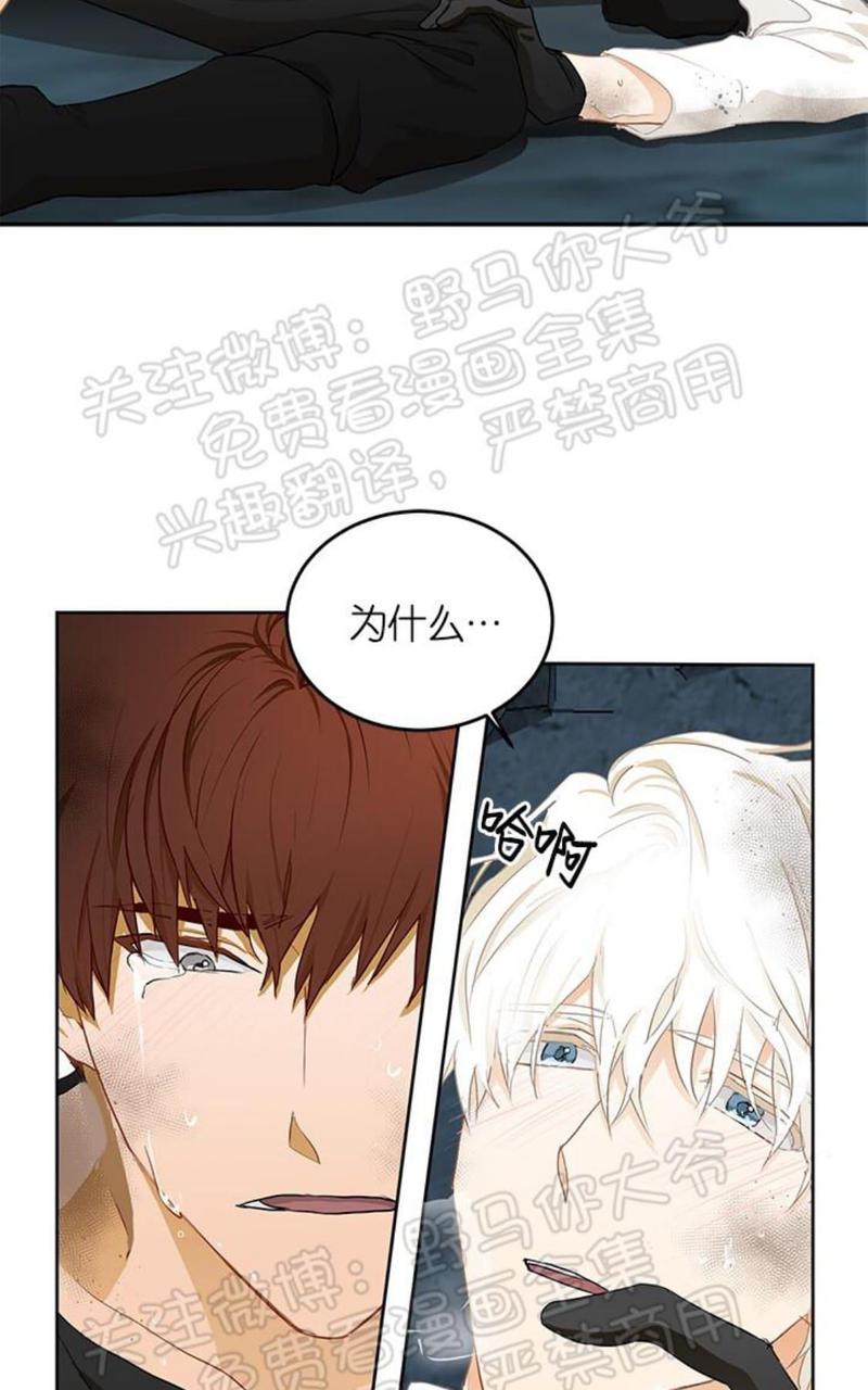完美谎言番外漫画,第5话3图