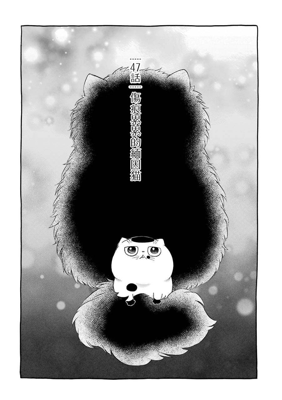 第47话0