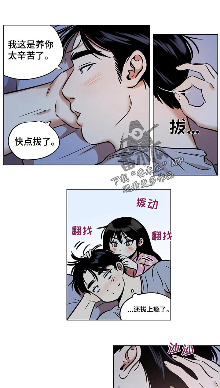 鸠占鹊巢是怎么回事漫画,第27章：白头发3图