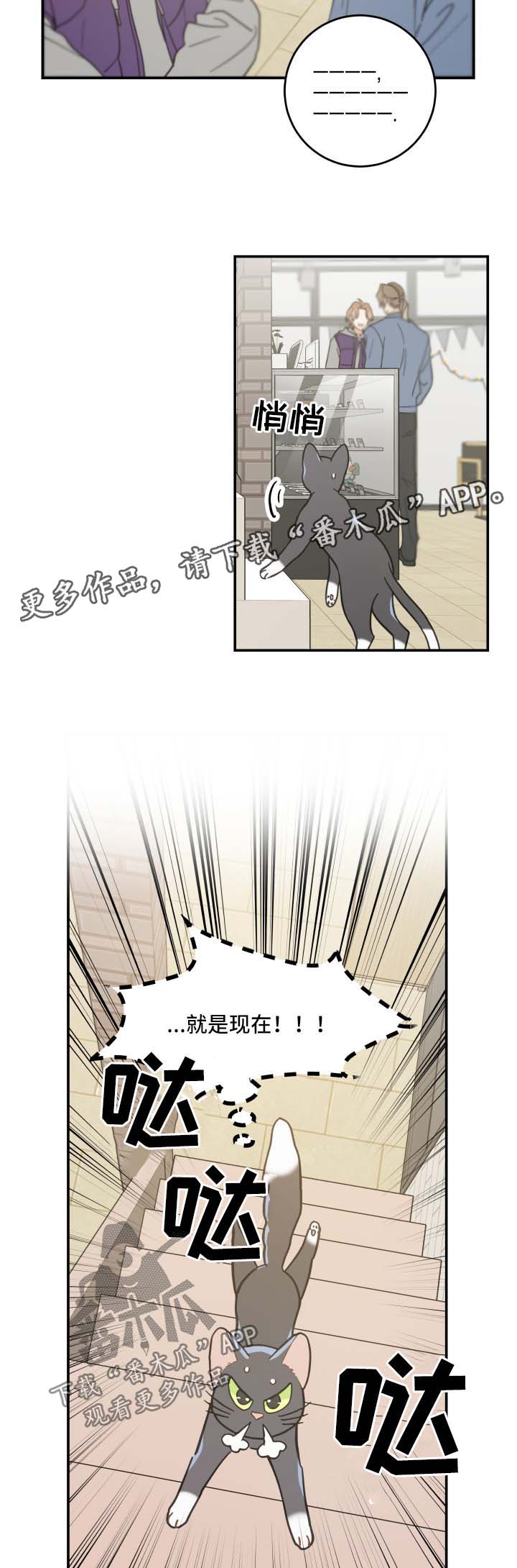 第44章：快乐生活2