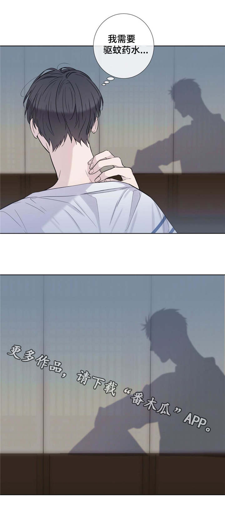 第19章：毒蚊子3