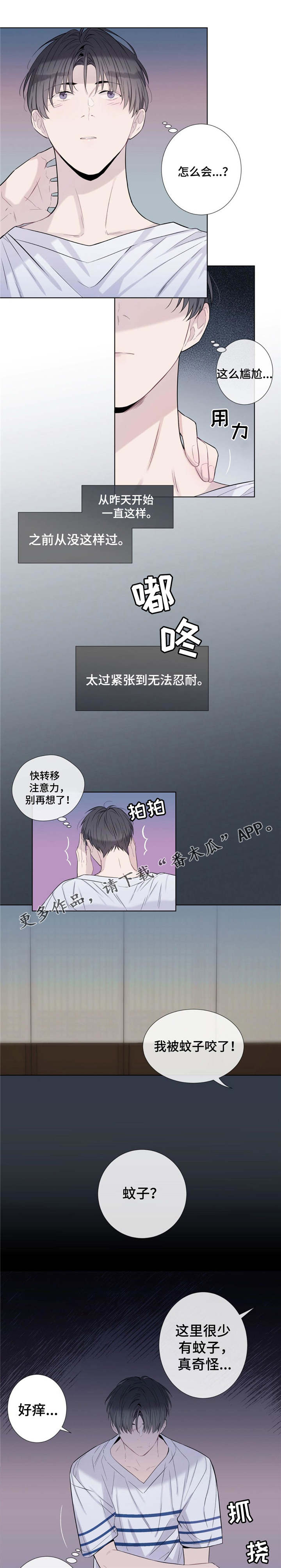 第19章：毒蚊子4