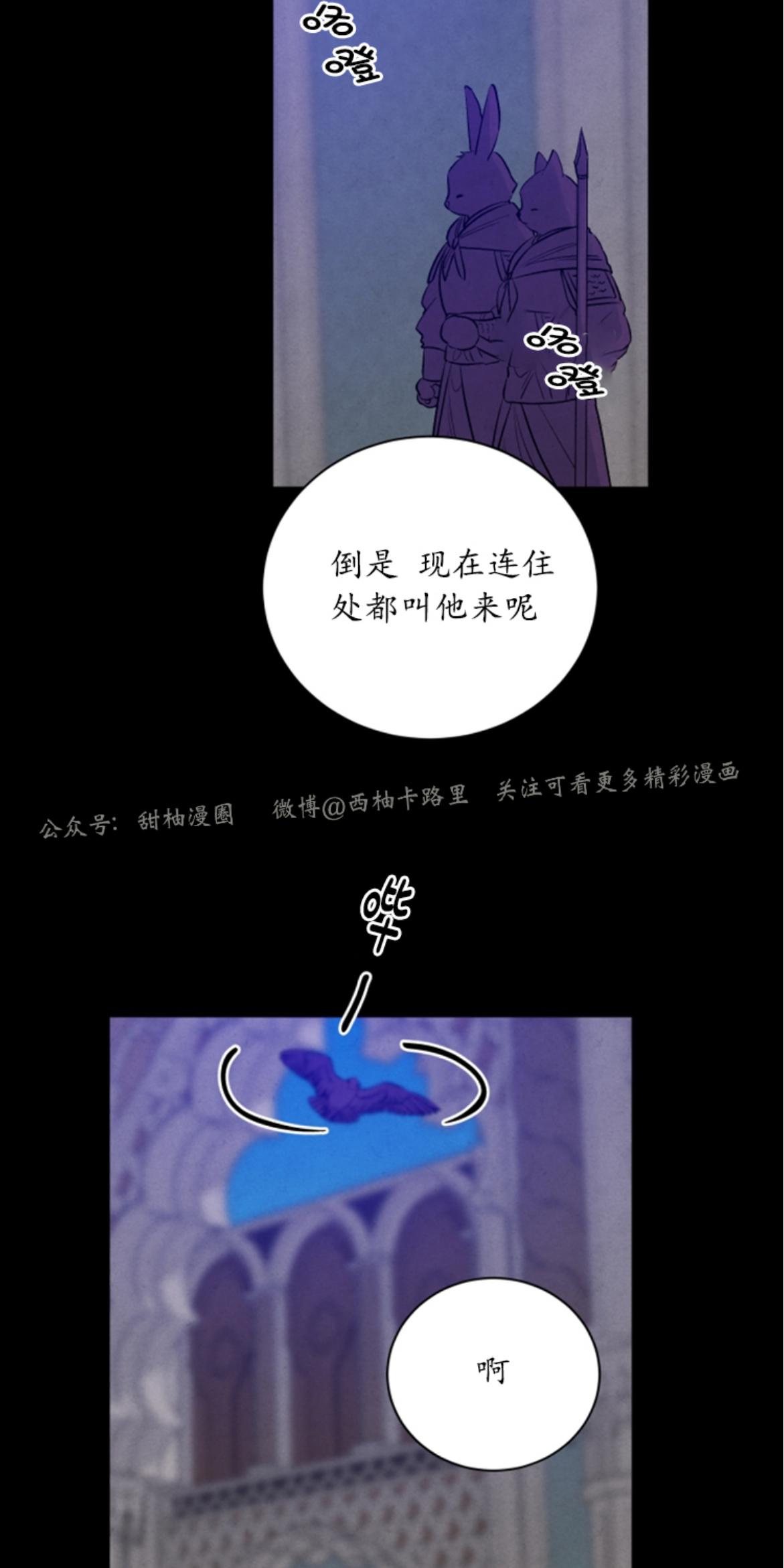 珊瑚的运用漫画,外传102图