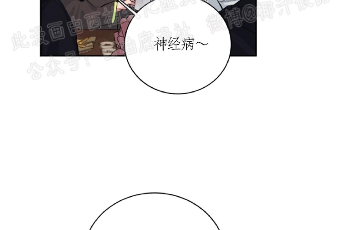 珊瑚怎么快速舒展漫画,第26话4图