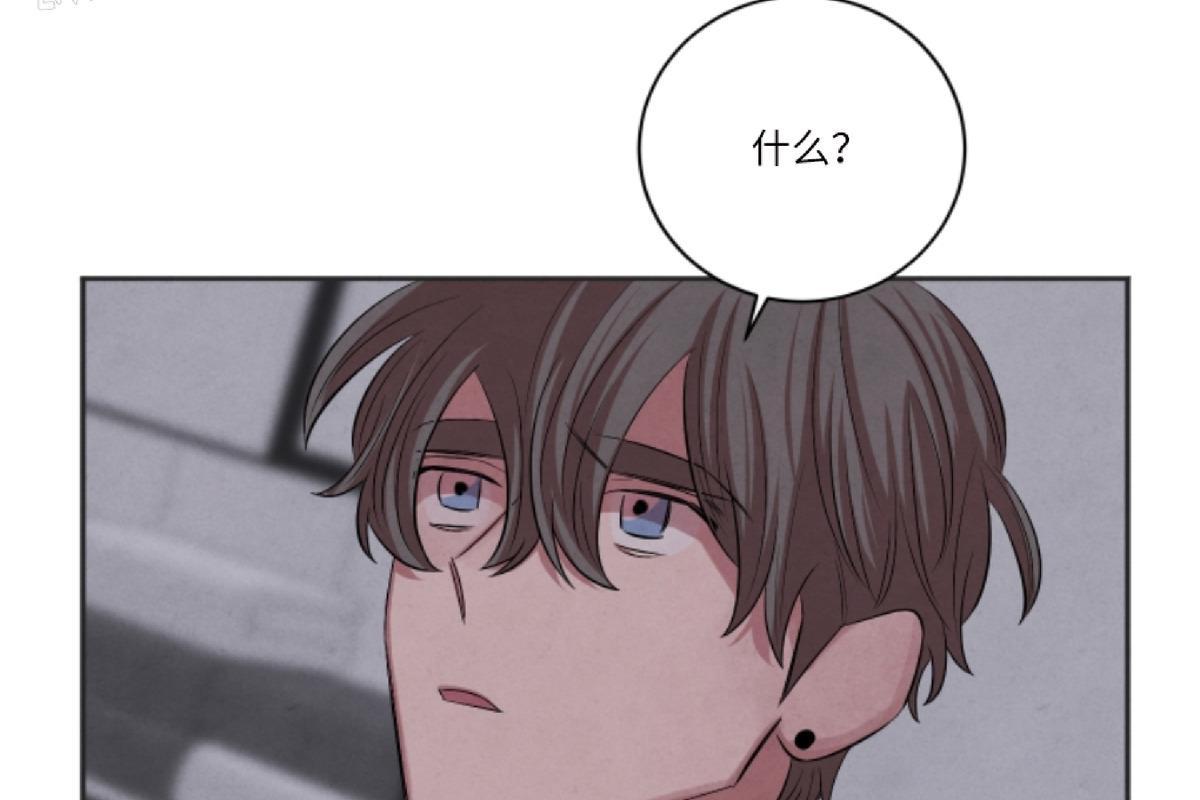 珊瑚怎么快速舒展漫画,第41话2图