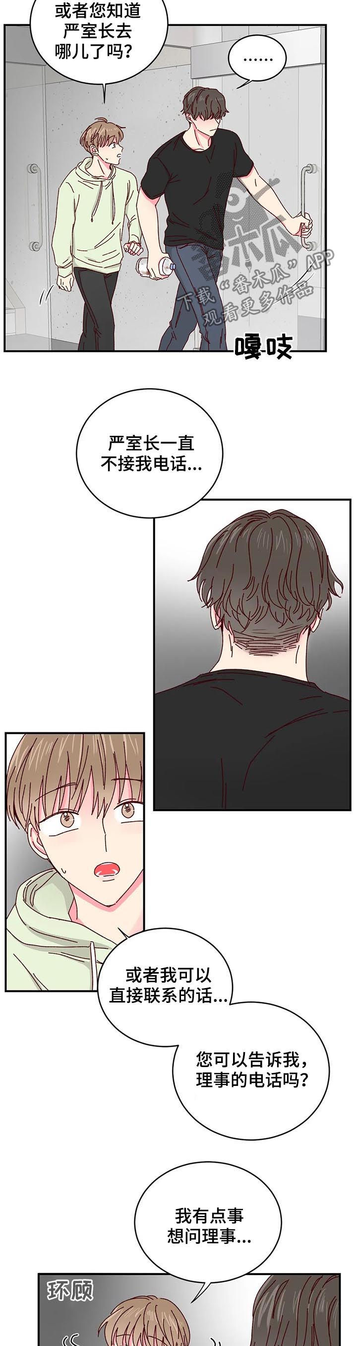 奶油蛋糕常温能放多久漫画,第29章：喂猫5图