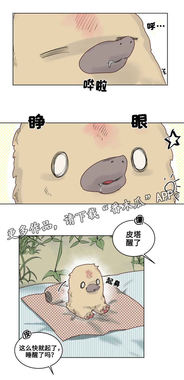魔法师塔防漫画,第19章：观察者4图