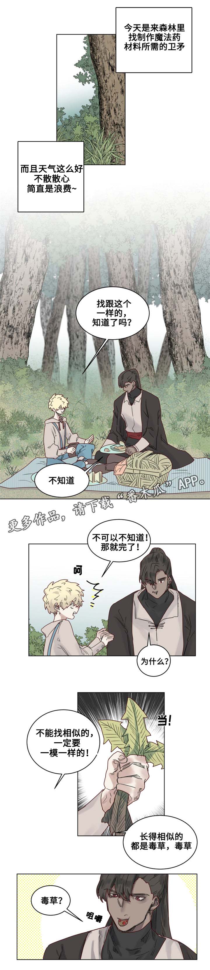 魔法师塔防漫画,第19章：观察者1图