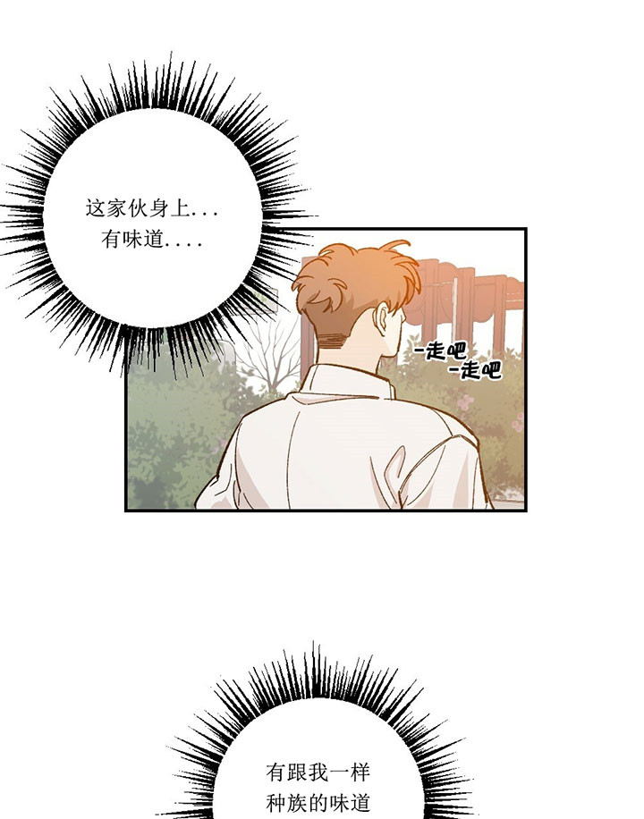 初恋温柔的图片漫画,第31话2图