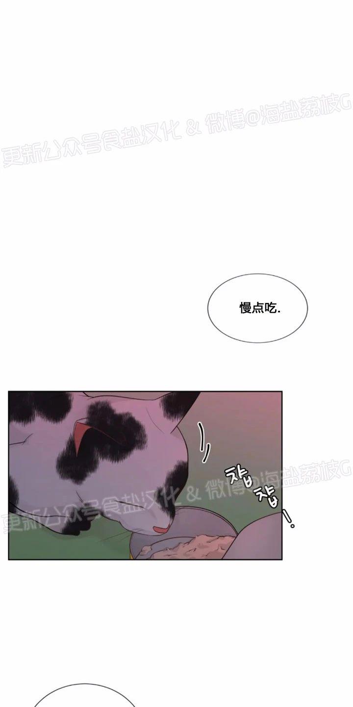 第40话4