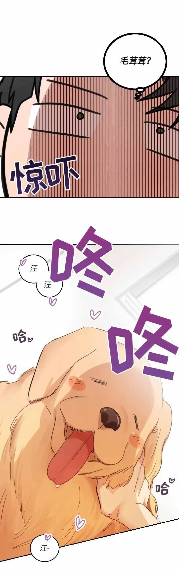 不浪漫的罪名王杰原唱漫画,第104话3图
