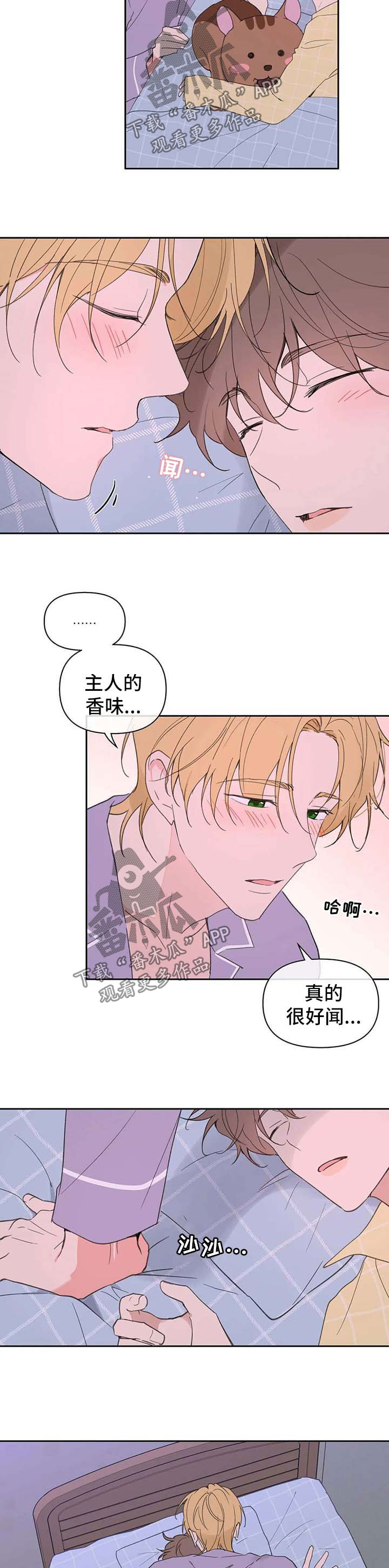学院卡特漫画,第84章：心跳如鼓3图