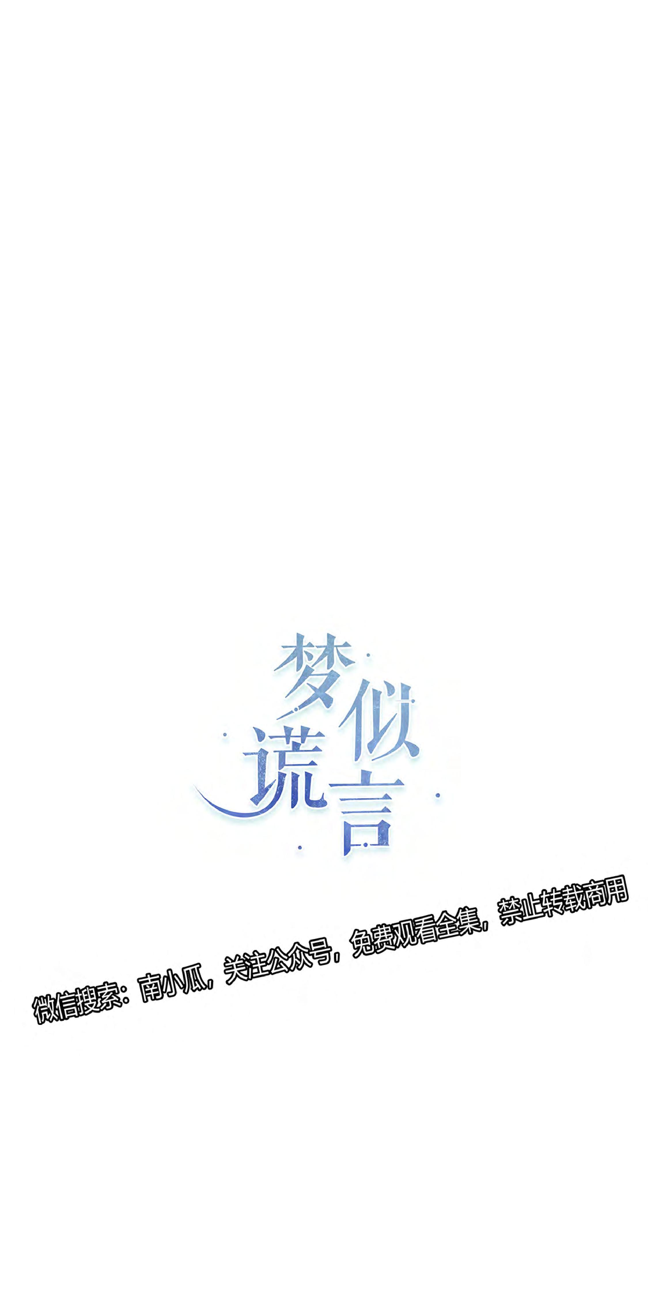 梦似迷离完整版漫画,第20话1图