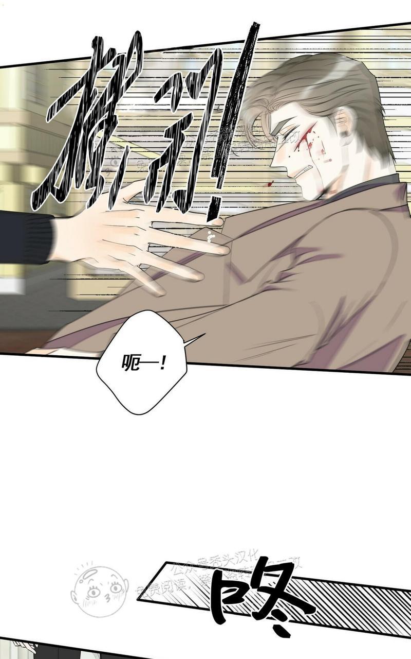 梦似芳华刘越李莉莉漫画,第44话3图