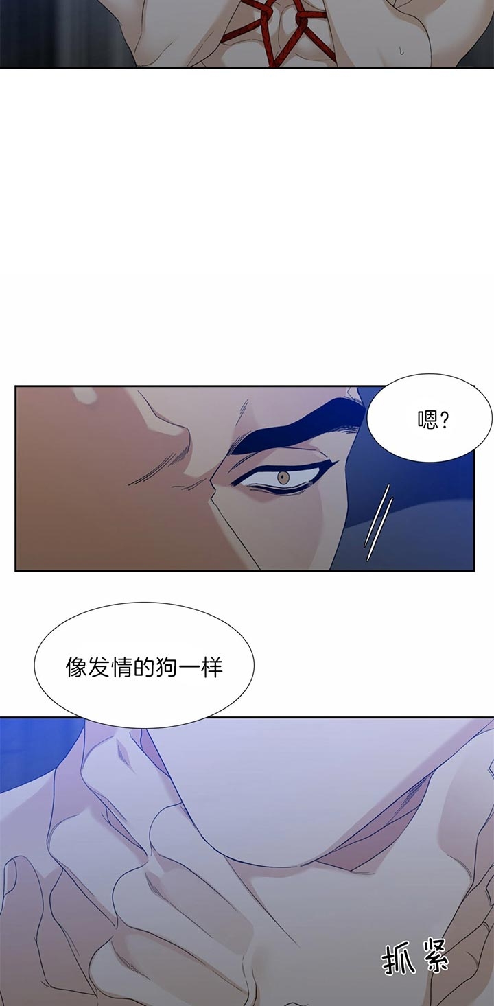 疯狗模式专属合击漫画,第73话4图
