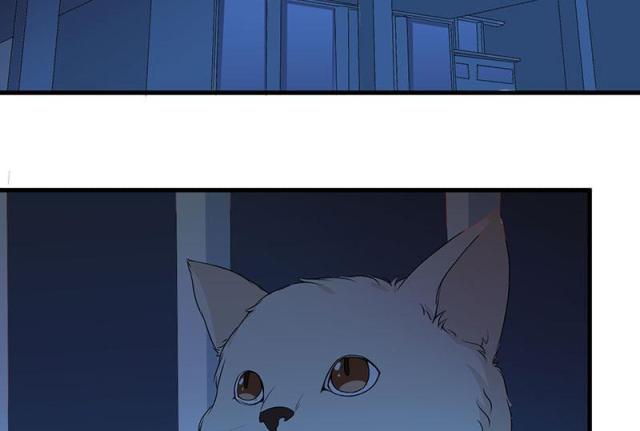 枕上恶魔总裁5集完整版漫画,第20话2图