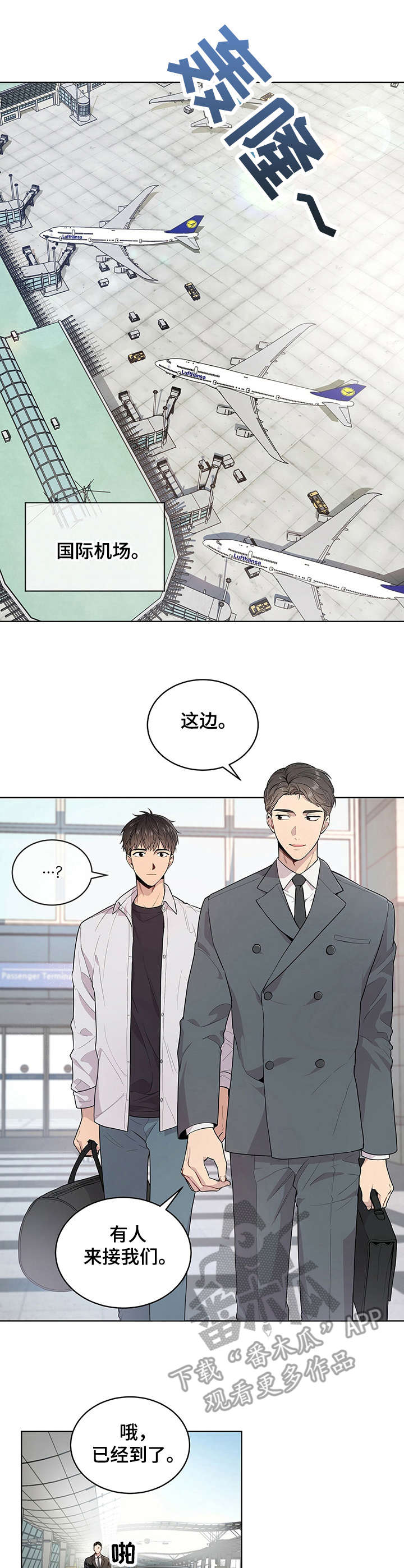 第6章：组织0