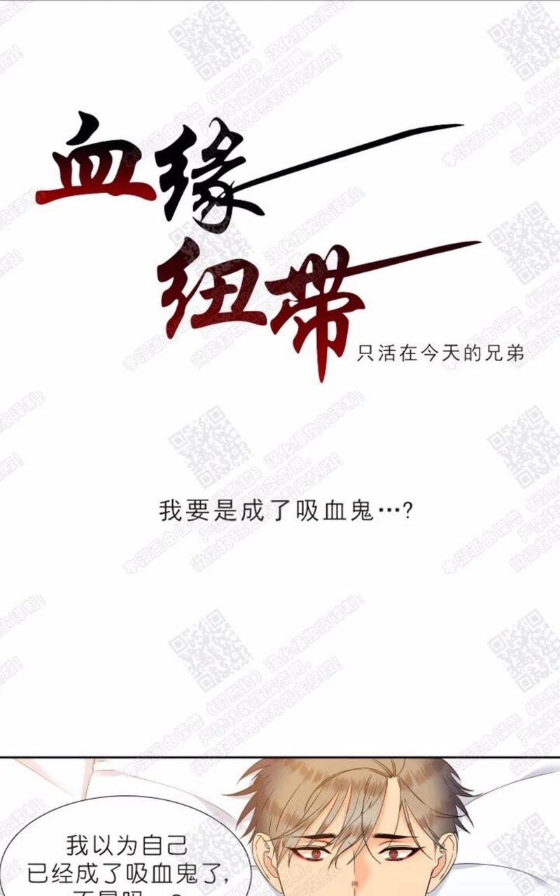 血缘纽带130漫画,第41话1图