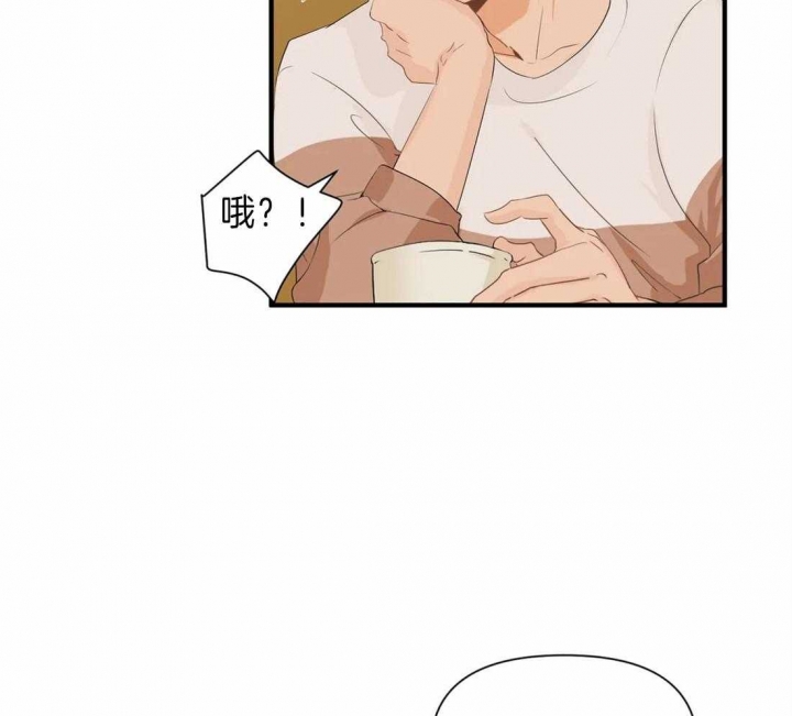 恋物语绣球花优缺点漫画,第28话3图